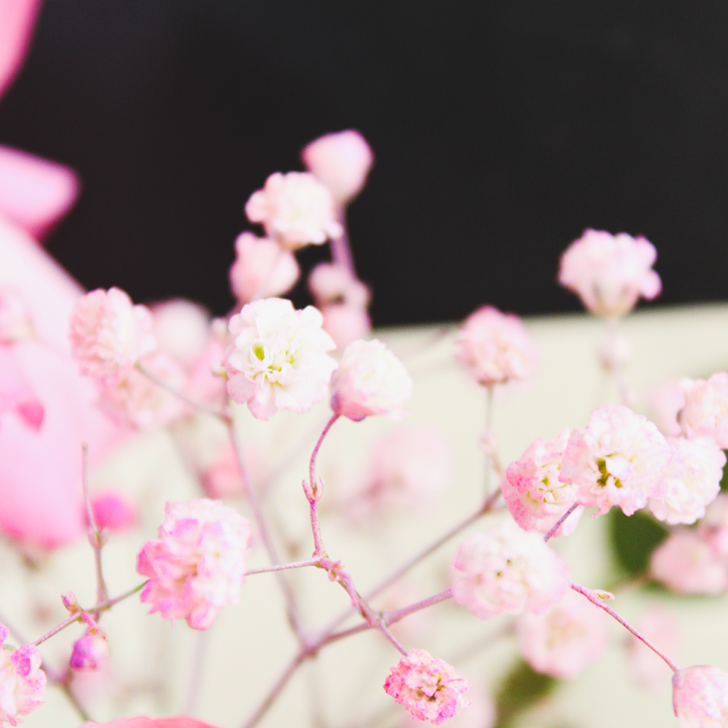 Parinel  bouquet