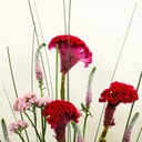 Genevora bouquet