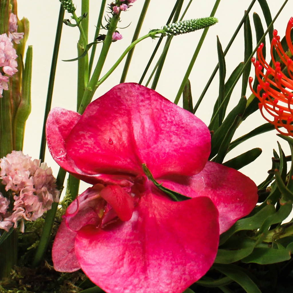 Genevora bouquet