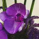 Madroura bouquet