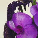 Madroura bouquet