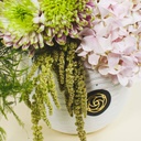 Osselina vase