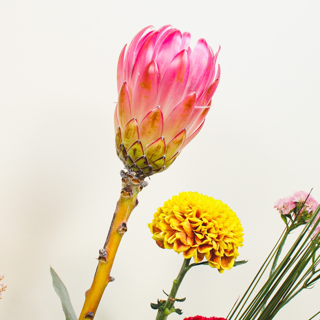 Vienna Rose Vase