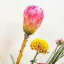 Vienna Rose Vase