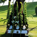 Rabellia Graduation Bouquet