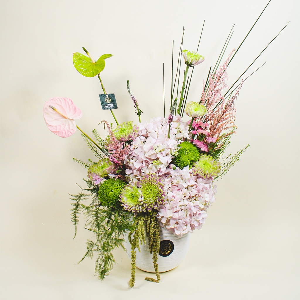 فازة أوسلينا