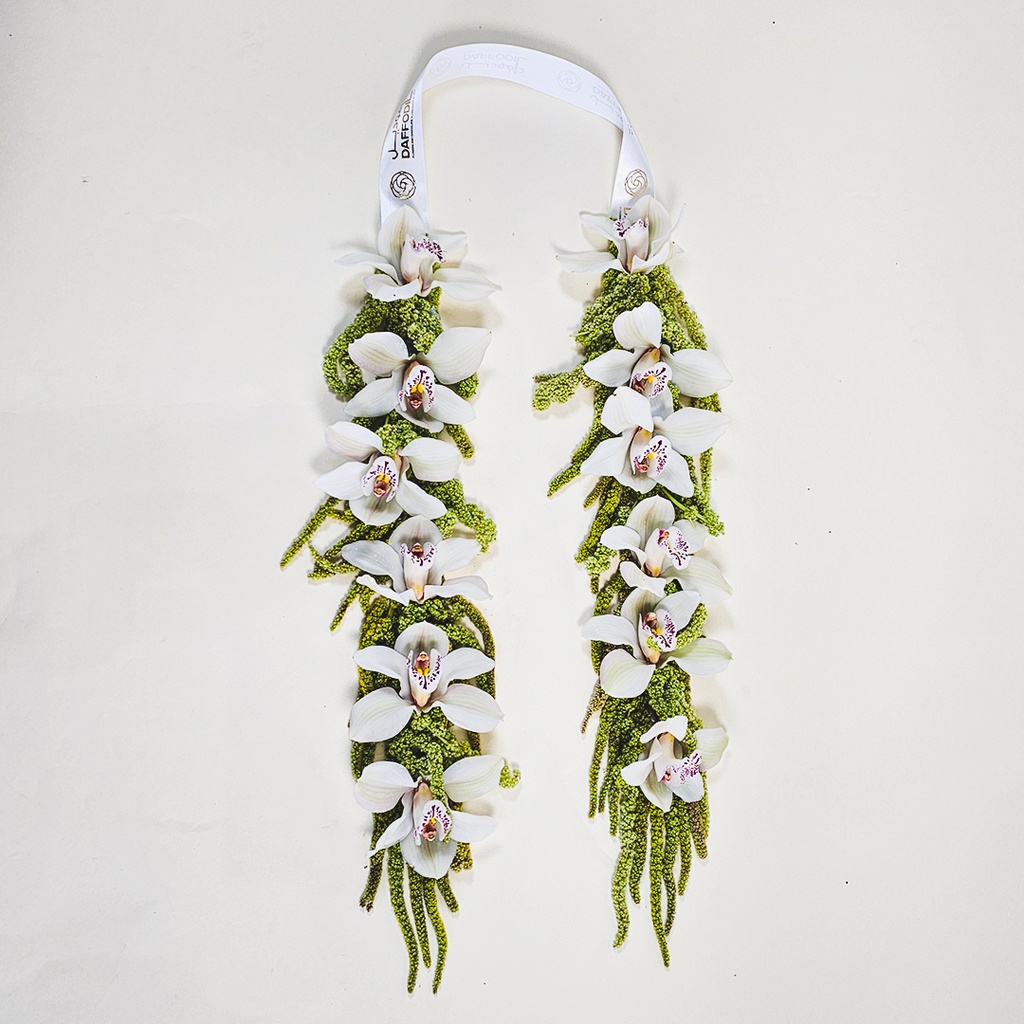 باقة سيؤوليا