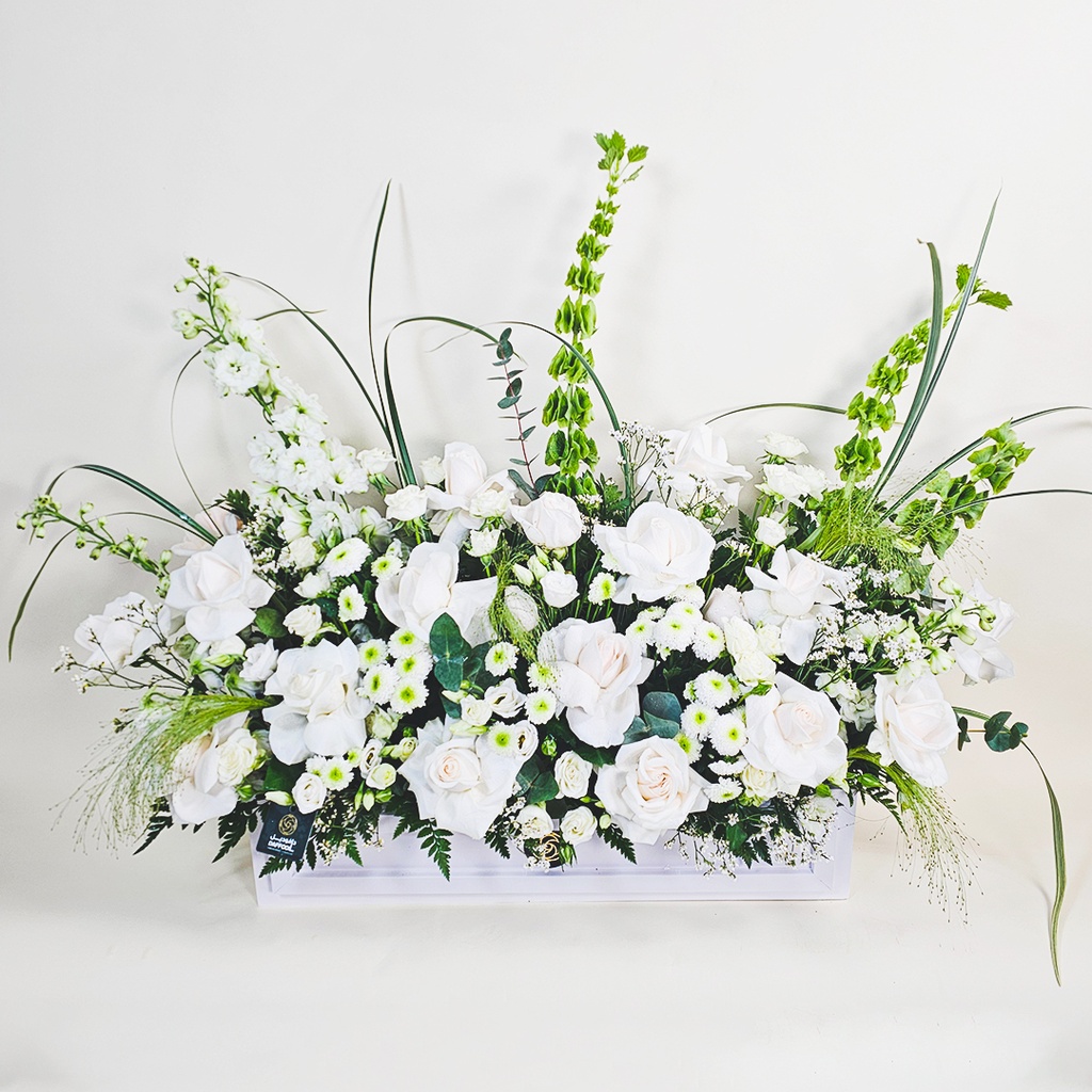 باقة براسيلوفا