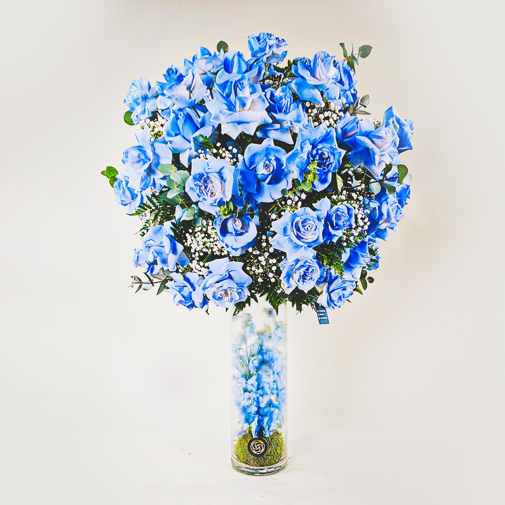 فازة أنقورا