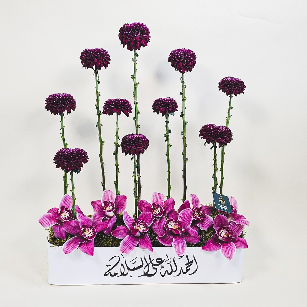 باقة أنتوربيا