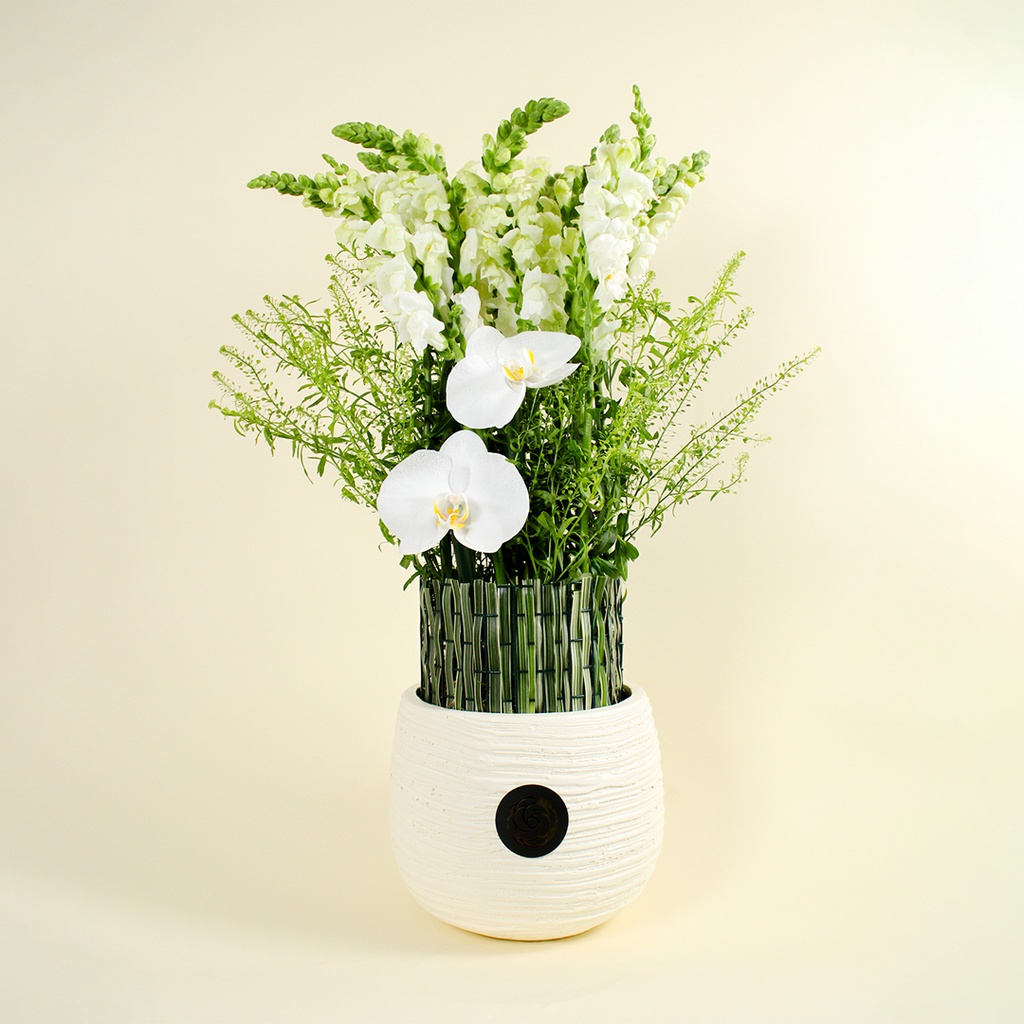 باقة تيلينا