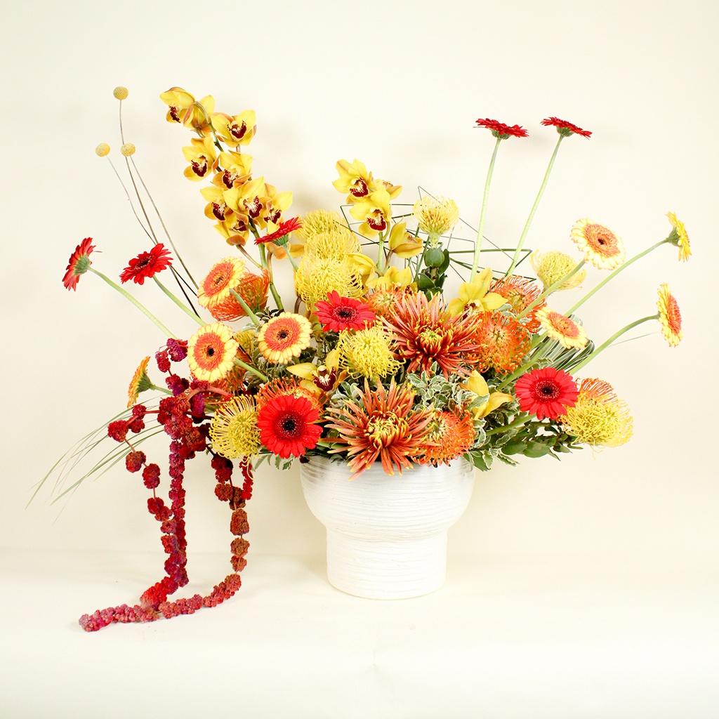 باقة نيفورا