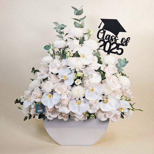 [DFD-BQT-145505] باقة فالاينوبسيس للتخرج 