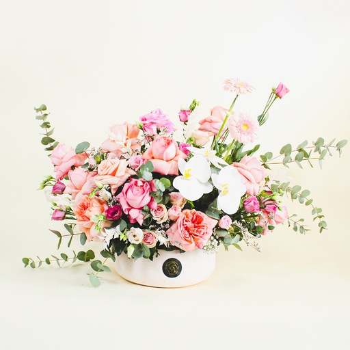 [DFD-BQT-145506] باقة باروسيا