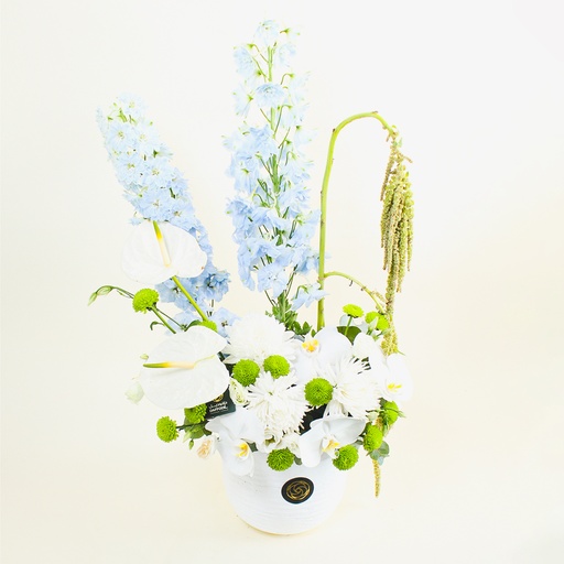 [DFD-BQT-146010] Rosdora vase