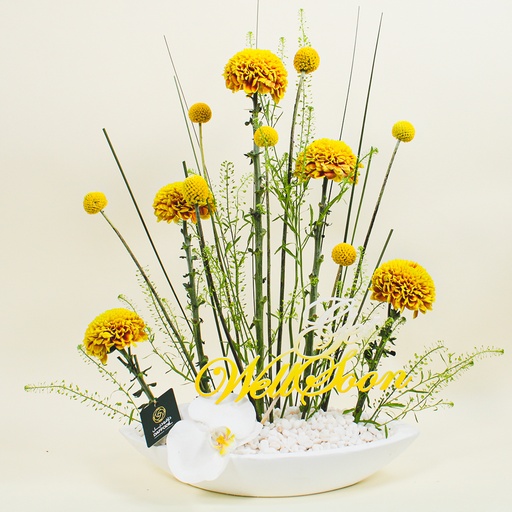 [DFD-BQT-146014] باقة أثينارا 