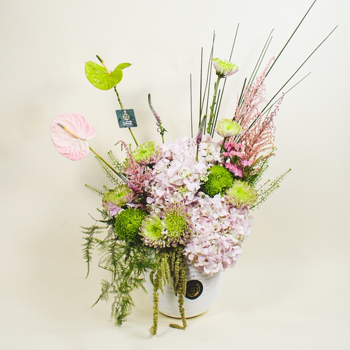 [DFD-BQT-146016] فازة أوسلينا