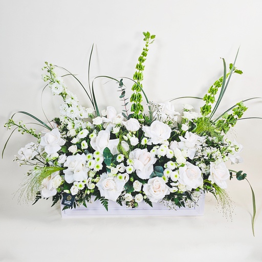 [DFD-BQT-146022] باقة براسيلوفا