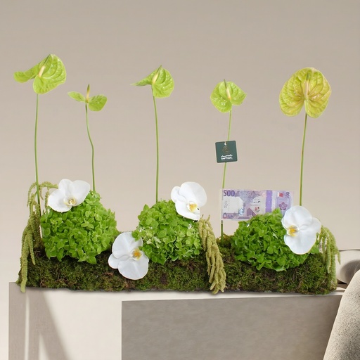 [DFD-BQT-14610] باقة ماروفا