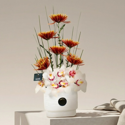 [DFD-BQT-14616] Bouquet Lovera 