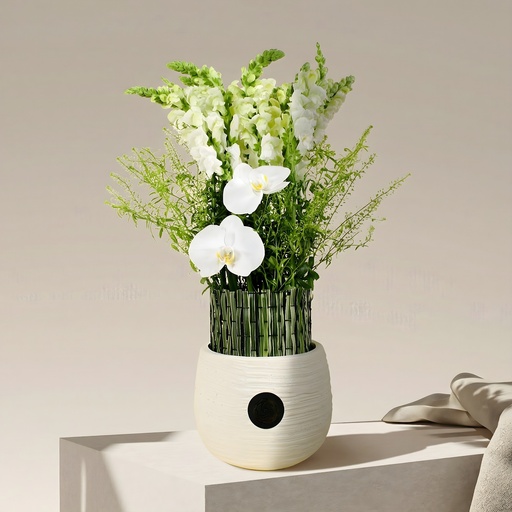 [DFD-BQT-14621] باقة تيلينا