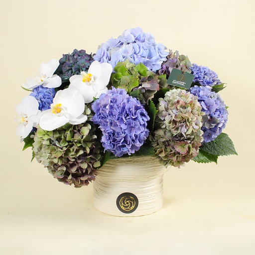 [DFD-BQT-14624] Bouquet Varela