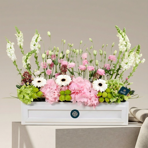 [DFD-BQT-14625] باقة بيلوفا