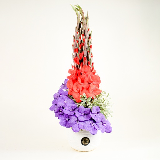 [DFD-BQT-14638] باقة سيرينا