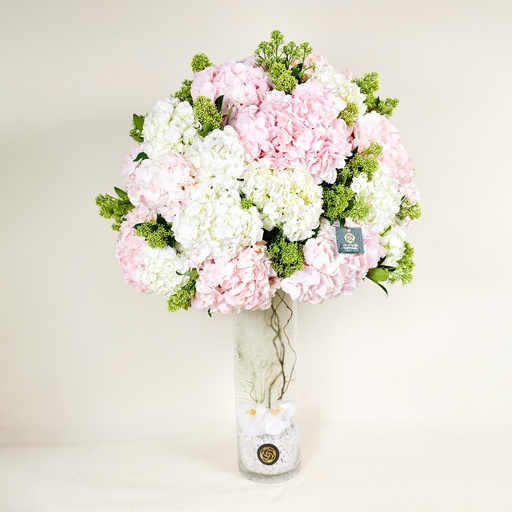 [DFD-BQT-14641] باقة أريفا