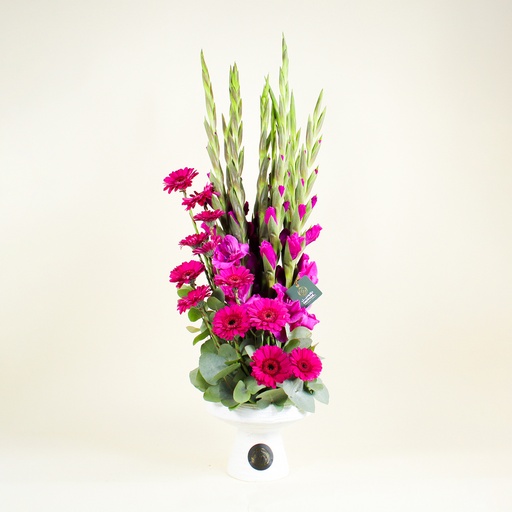 [DFD-BQT-14644] باقة فيلاريس